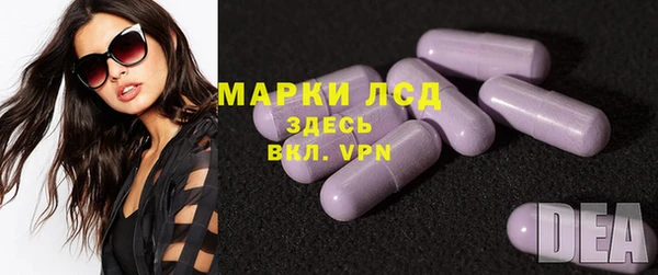 apvp Гусев