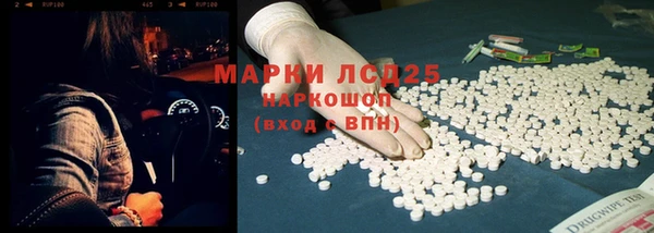 apvp Гусев
