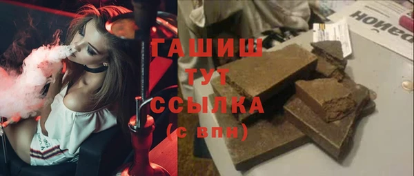 apvp Гусев