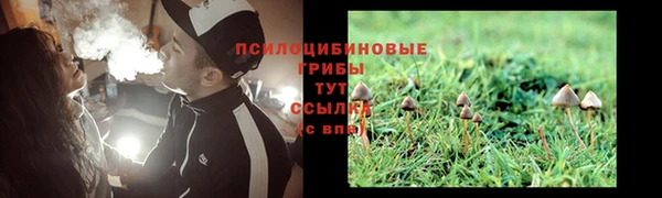 дмт Гусиноозёрск