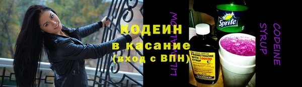 apvp Гусев