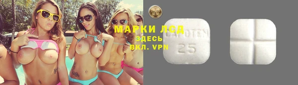 apvp Гусев