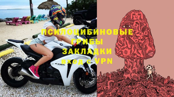 хмурый Гусь-Хрустальный