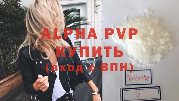 хмурый Гусь-Хрустальный