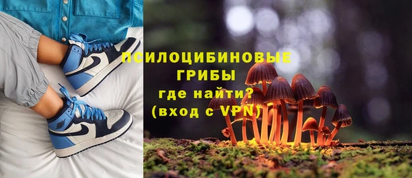 хмурый Гусь-Хрустальный