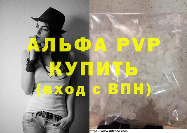 хмурый Гусь-Хрустальный