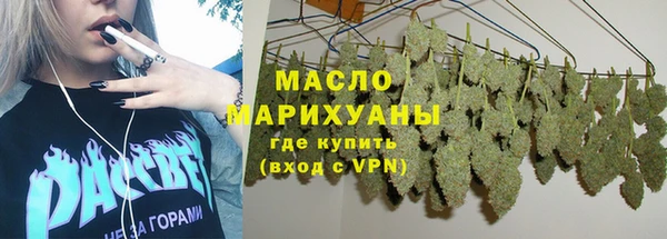 apvp Гусев