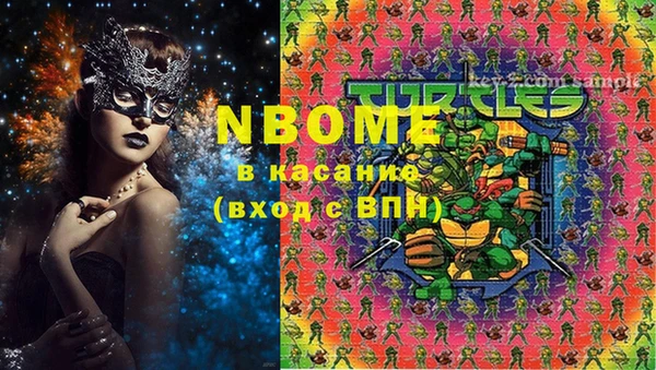 хмурый Гусь-Хрустальный