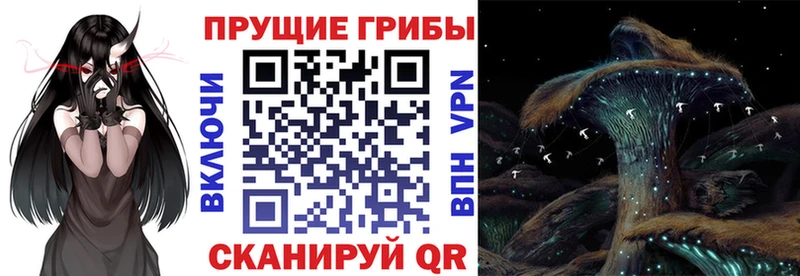 Галлюциногенные грибы прущие грибы  kraken сайт  Иланский 
